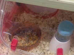 -FAELING PETS美天灵宠物(合生汇店)
