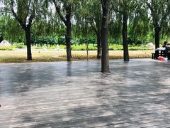 -羊亭河湿地公园