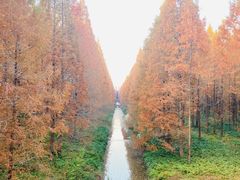 -黄海国家森林公园