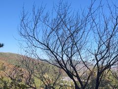 -北京西山国家森林公园