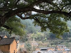 -杨家堂村