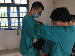 -骐奇宠物诊疗中心(南亭公路店)