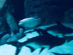 -常州海昌海洋探索馆