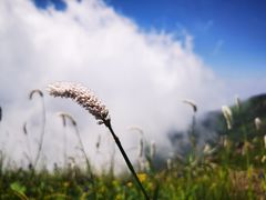 -白草畔自然风景区