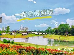 -夏河溪乡野公园