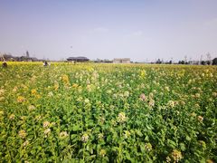 -中国天府农业博览园