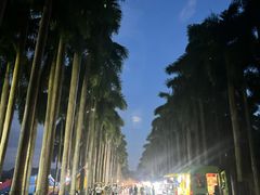 -南宁花花大世界景区