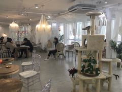 大堂-共舞时光猫咖·狗咖(新街口店)