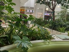 -大树餐厅(红旗街万达店)