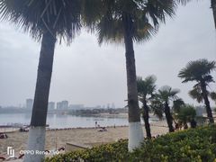 -九龙湖公园