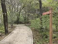 -廊坊市自然公园