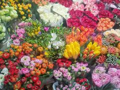 -双季花艺园艺市场(浦东店)
