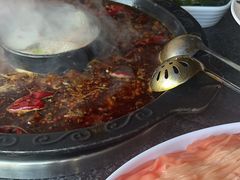 -川东坝子火锅(宝龙店)