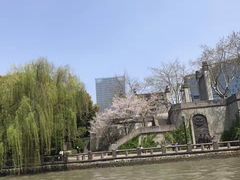 -运河游船(武林门码头)