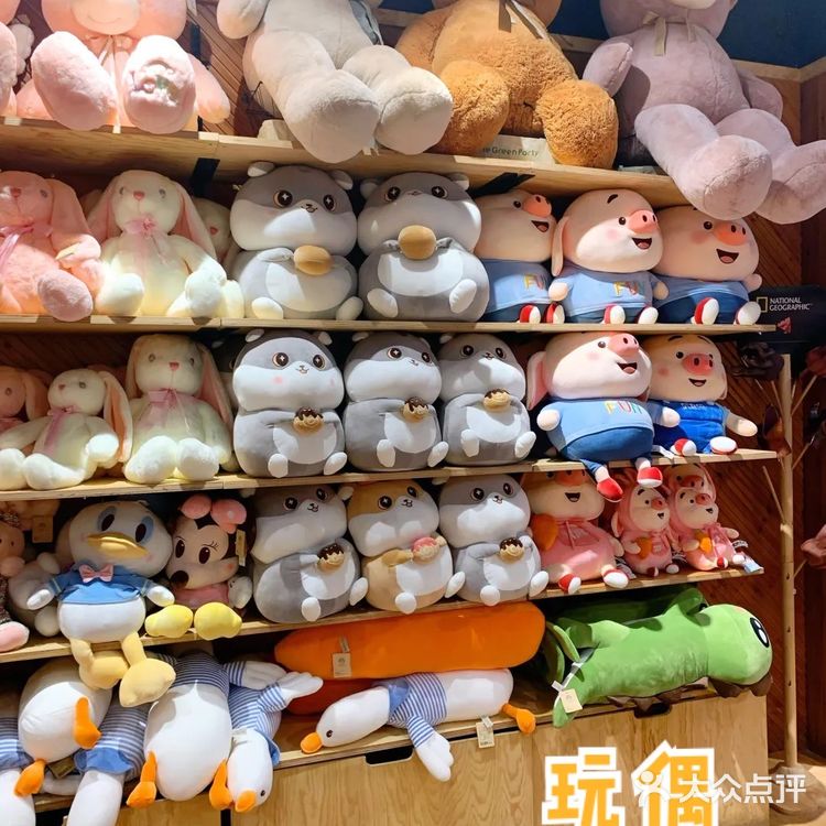 南京探店/超全杂货礼品店/你想要的它都有‼️