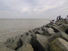 -南汇嘴观海公园