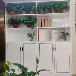 -EVE·伊芙皮肤管理中心