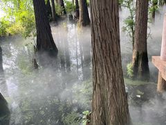 -东湖落雁景区