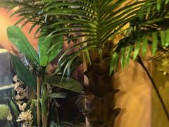 -怡泰SPA·泰疗按摩(徽宁路店)
