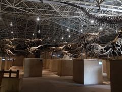 -世界恐龙谷景区