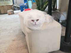 -小时光咖啡馆(北锣鼓巷店)