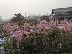 -郑州银基黄帝宫御温泉