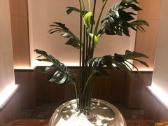 -森Some Fusion(荔湾店)