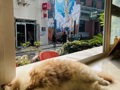 -灯塔咖啡馆BOOK·Coffee Shop