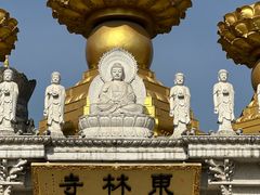 -上海东林寺(金山区)