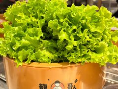 -龍歌自助小火锅(市南金茂湾店)