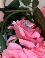 -钻石小鸟钻戒婚戒定制(石路店)