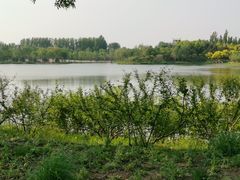 -东郊湿地公园