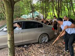 -青城甲(青城山店)