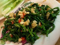 生菜-芳村榕树头叹佬鸡煲(体育西店)
