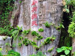 -深圳仙湖植物园