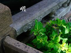 -豫园