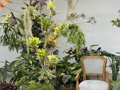 -上海滨江森林公园