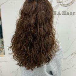 -潘多拉Hairsalon