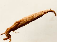 -沪依小酒馆心意菜