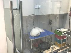 -PETKIT 小佩宠物·低压洗护·美容·寄养(安远店)