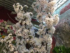 -双季花艺园艺市场(浦东店)
