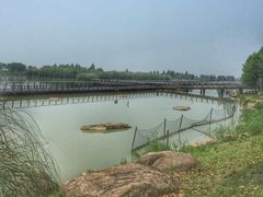 -滆湖低碳生态公园
