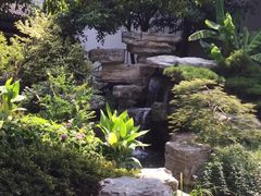 -长田漾湿地公园
