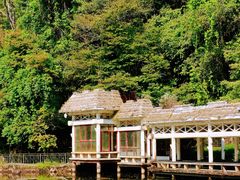 -大围山国家森林公园