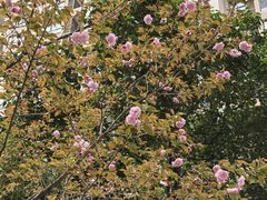 -木塔寺遗址生态公园