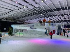 -宁波冰雪大世界(北仑区)