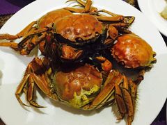 -瑞安辰茂阳光酒店自助餐