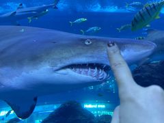 -成都浩海立方海洋公园