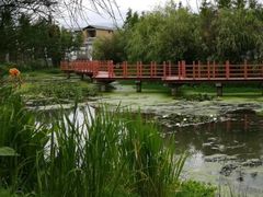 -才村湿地公园