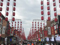 -正宗刘记不翻汤(和园店)